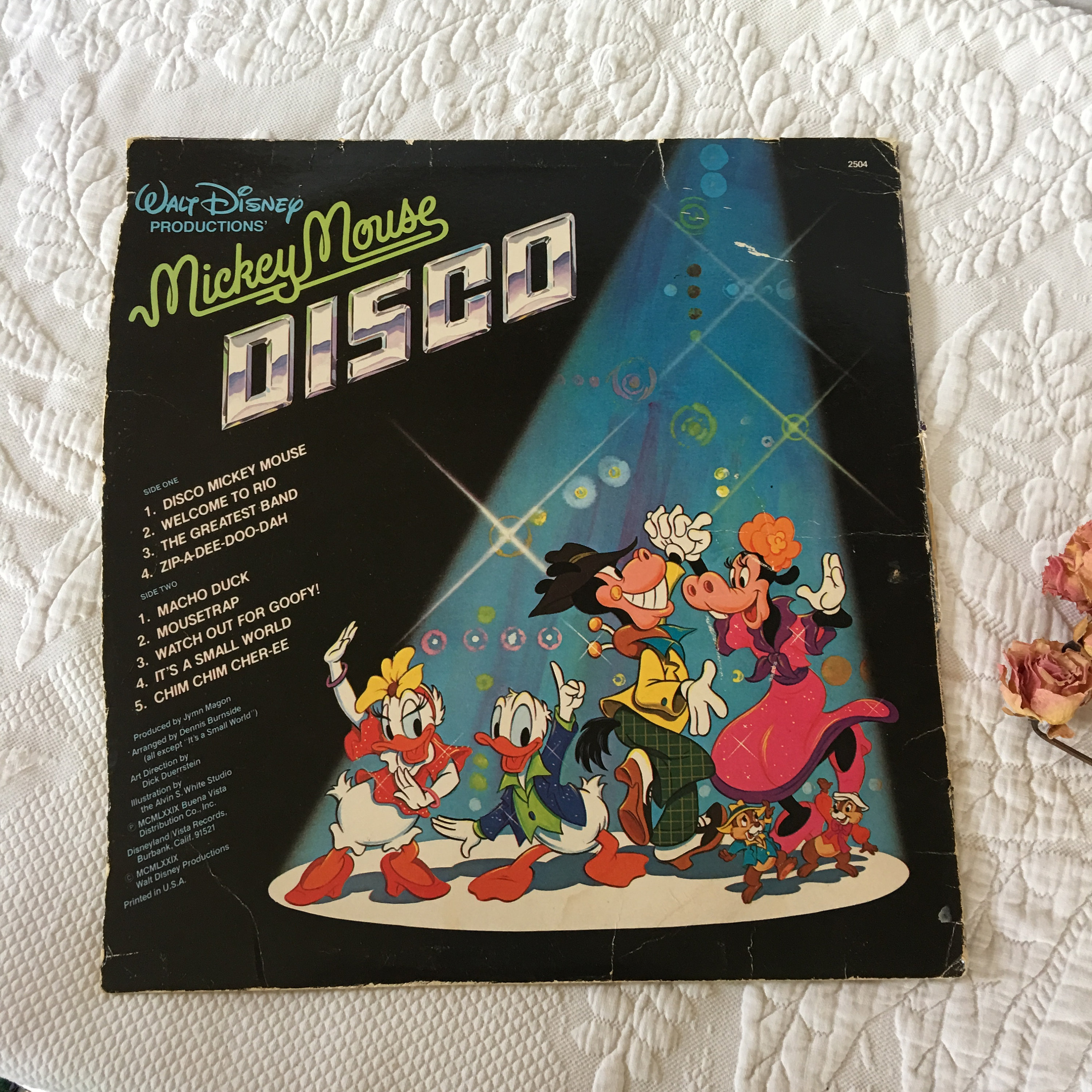 Dive Into Disney アナログレコード DIVE INTO DISNEY 限定 ミッキーマウス ピクチャー盤レコード