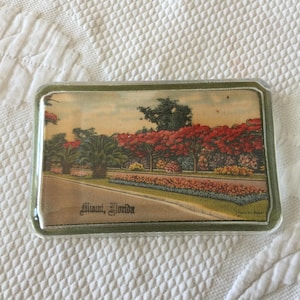 Puede incluir: Un pisapapeles de vidrio con una imagen de postal vintage de un camino bordeado de árboles y flores. La postal dice "Miami, Florida" y está enmarcada con un borde verde.