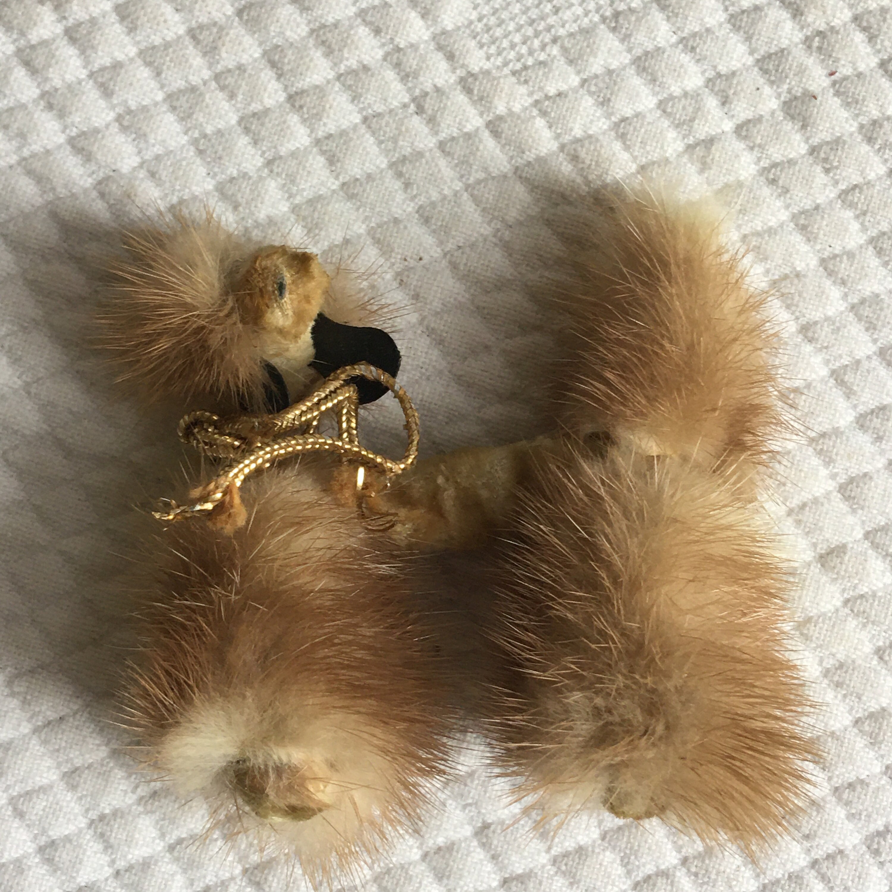 Poodle Fur Coat - Etsy