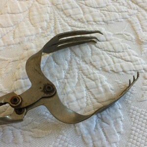 May include: Silver-toned metal kitchen tongs with a fork-like design on each end. The tongs are open and the handles are curved.