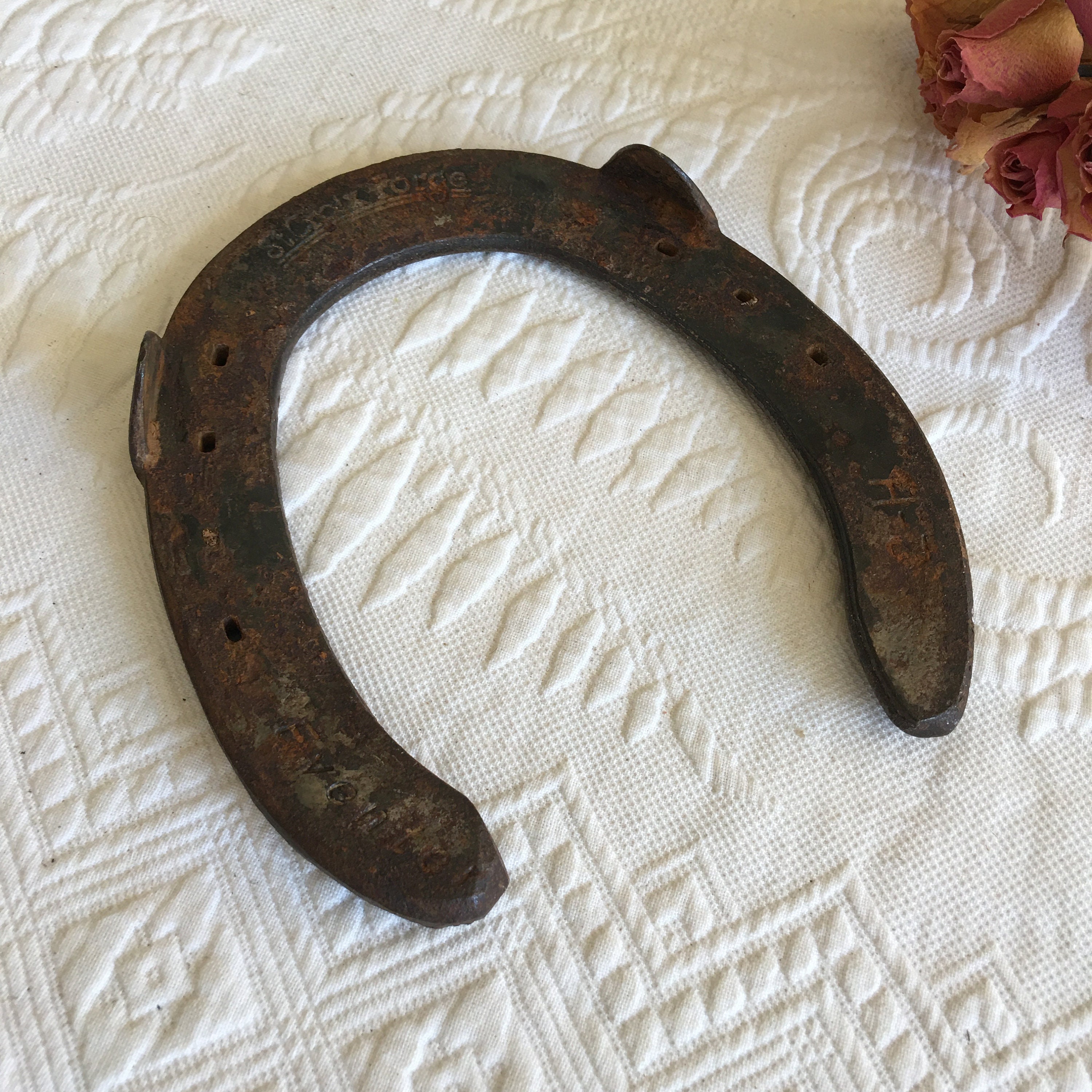 Vintage Horse Shoe. St. Croix Horseshoe. Etched Etsy