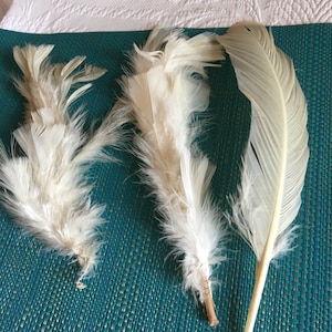 Vintage Feathers for Crafting or Hat Making. Feather for a Quill Pen. White Single and Two Groupings of Feathers.