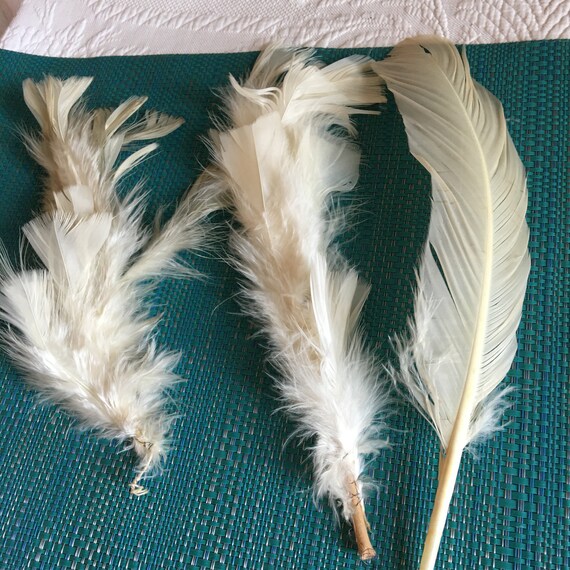 Vintage Feathers for Crafting or Hat Making. Feather for a Quill