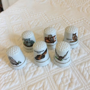 Vintage Owl Collector Thimble. Owl Motifs With Identifying Name. Porcelain COLLECTOR THIMBLE With Gold Accent Line and Owl Picture.