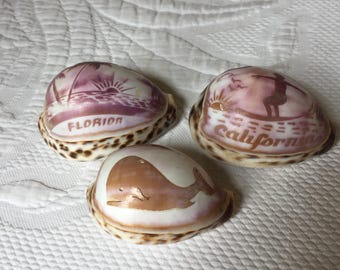Natural Seashell Etched and Carved with Ocean Scene. Choose Florida Palm Trees and Sunset or California Surfer at Sundown, or Whale Design.