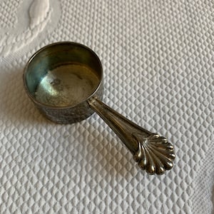 May include: A silver measuring spoon with a decorative shell-shaped handle.