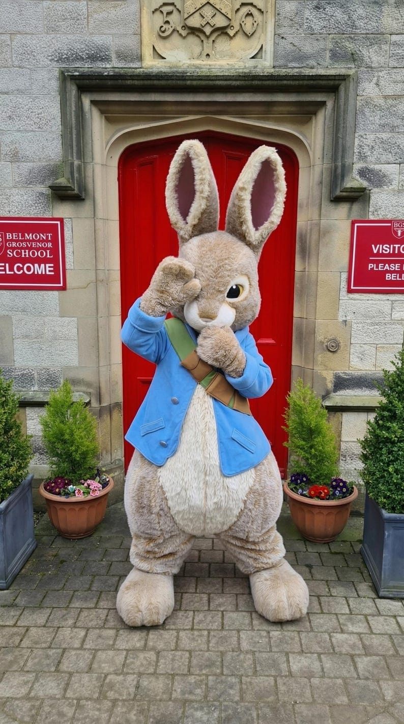 Easter Costume Peter Rabbit Mascot Suit for Adults - Professional Bunny ...