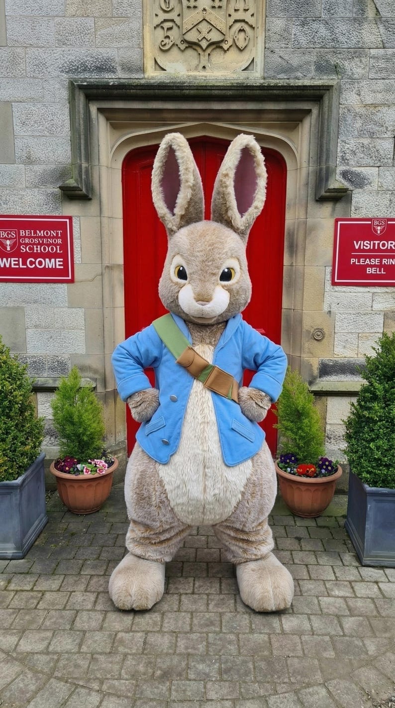 Easter Costume Peter Rabbit Mascot Suit for Adults - Professional Bunny ...