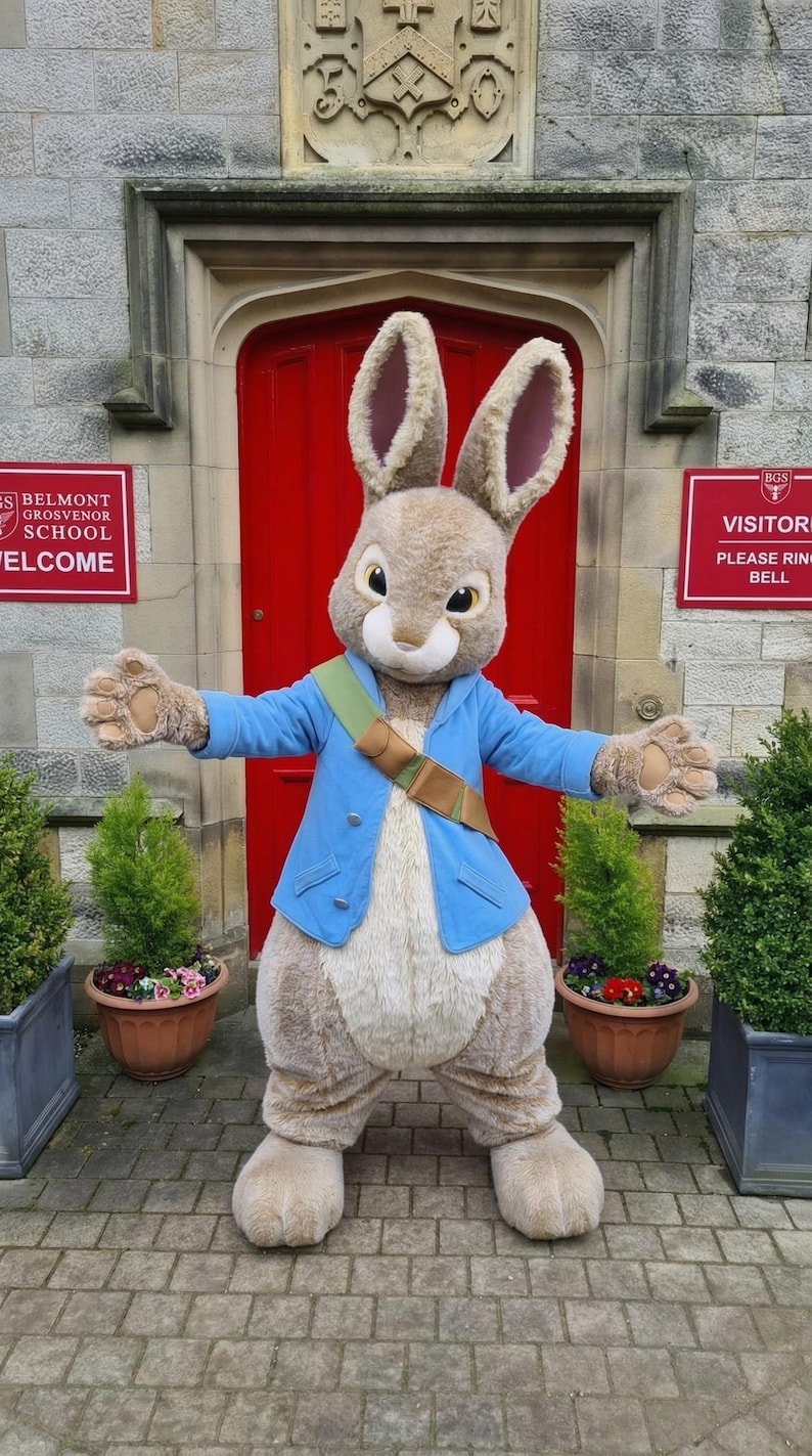 Easter Costume Peter Rabbit Mascot Suit for Adults - Professional Bunny ...