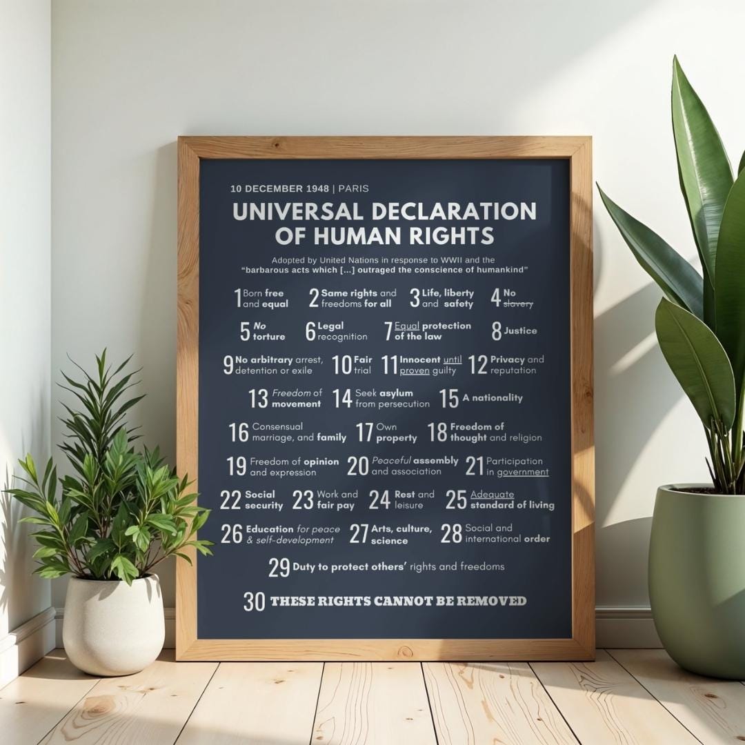 1948 Universal Declaration Human Rights Poster, Dark Blueprint Wall Art ...