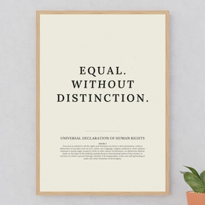 May include: A framed print featuring the words "EQUAL. WITHOUT DISTINCTION." in bold black lettering. Beneath, it states "UNIVERSAL DECLARATION OF HUMAN RIGHTS" and Article 2. The print has a light beige background and a wooden frame.