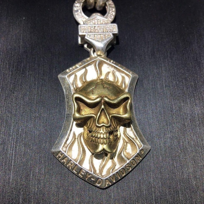 May include: A silver-toned metal pendant featuring a brass-colored skull centered on a shield-shaped base with flame motifs. The text Harley-Davidson is embossed at the bottom and on the top bail, which connects to a circular ring.