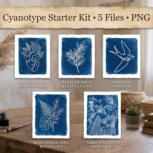 May include: A Cyanotype Starter Kit containing 5 PNG files. The images feature white line art on deep blue backgrounds, including an anatomical heart with flowers, a berry branch, a swallow, monstera and fern leaves, and yarrow with Queen Anne's lace.