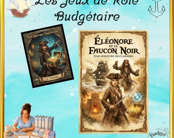 Juego de rol de presupuesto pirata | Desafío financiero para adultos | Eleanor y el Halcón Negro