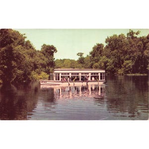 Pocztówka Florydy Międzynarodowa atrakcja Zobacz Silver Springs Opublikowano w 1950 r.