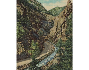 Postcard Big Narrows In South St. Vrain Canon 2245 Divided Back 1952
