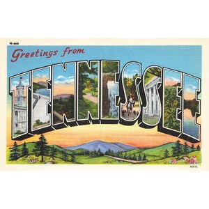Vintage briefkaartgroeten uit Tennessee N-506, 90972