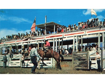 Cartolina Rodeo Time, Black Hills South Dakota, vintage cromata, non pubblicata, anni '39-'70