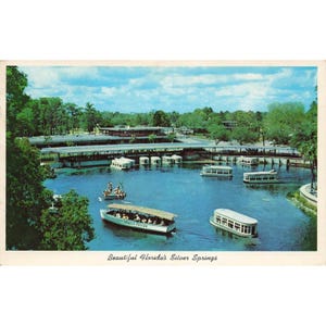 Piękna pocztówka z Silver Springs na Florydzie, chromowana, vintage, wysłana w 1963 r.
