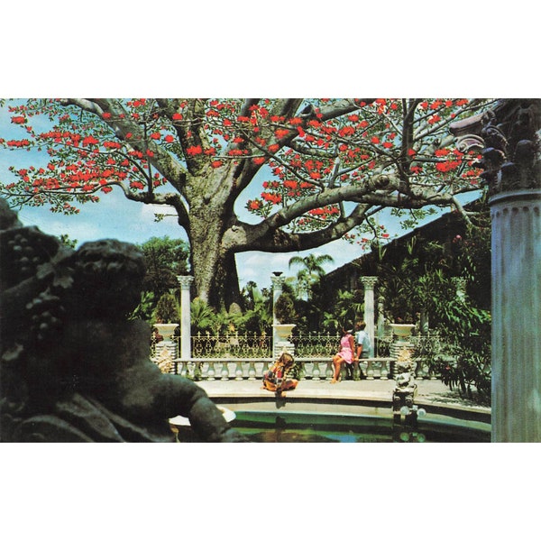 Postcard Kapok Tree Inn, Clearwater, Florida Vintage Chrome Posted 1939-1970s