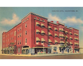 Postcard Hamilton Hotel, Hagerstown, Md. Vintage Linen Unposted 1930-1950
