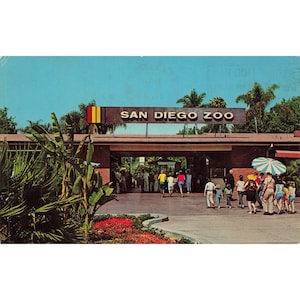Cartão postal Entrada principal do Zoológico de San Diego, Califórnia Chrome 1967