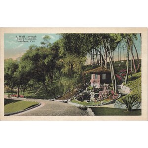 Carte postale Une promenade dans les jardins Busch, Pasadena, Californie. Bordure blanche non affichée 1917-1929