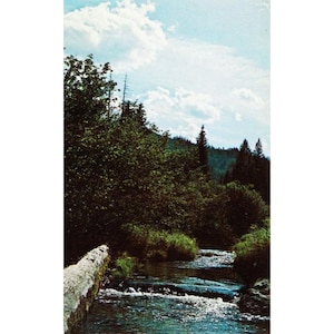 Cartolina scoppiettante, acque limpide di Carpenter Creek, vicino a St. Maries, Idaho, cromata d'epoca, non spedita, anni 1939-1970
