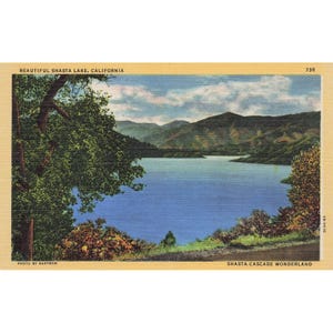 Cartão postal Belo Lago Shasta, Califórnia, Shasta Cascade Wonderland 738 Linho Não postado 1930-1950