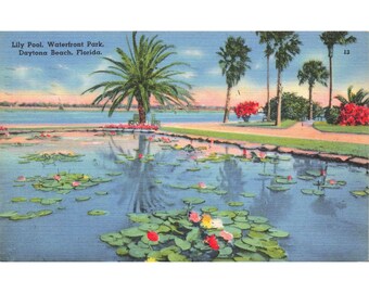 Cartolina Lily Pool Waterfront Park Dayton Beach Florida 13 Lino vintage pubblicato 1930-1950