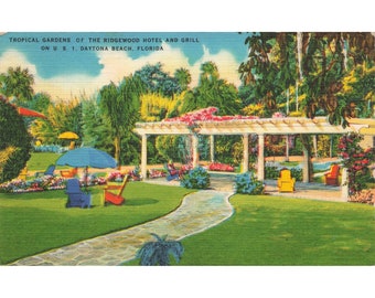 Cartolina Giardini tropicali del Ridgewood Hotel And Grill negli Stati Uniti 1 Daytona Beach Florida Lino vintage pubblicato 1930-1950