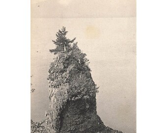 Postkarte Siwash Rock Stanley Park, Vancouver Vintage Geteilte Rückseite Gestrickt 1910