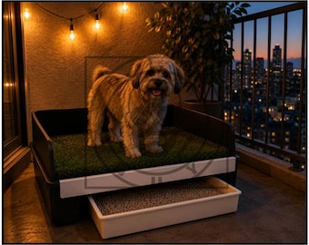Tapete digital para cães, ideal para apartamentos.