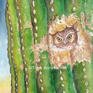 Elf Owl in Saguaro, Giclée Print