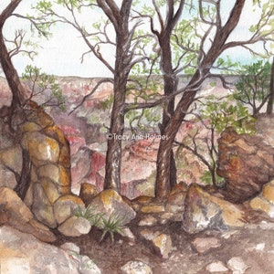 Grand Canyon, Giclée Print