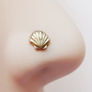 Puede incluir: Anillo de nariz de oro con diseño de concha.