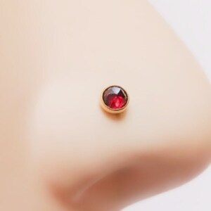 May include: A close-up of a gold nose ring with a red gemstone. The ring is worn on a model's nose.