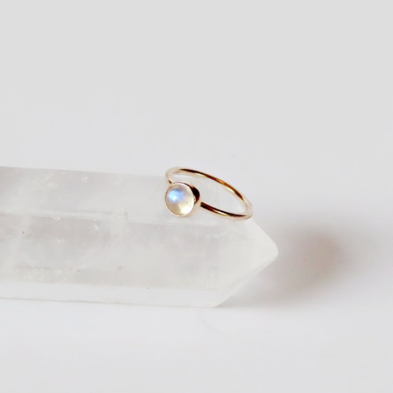 gold bee nose ring