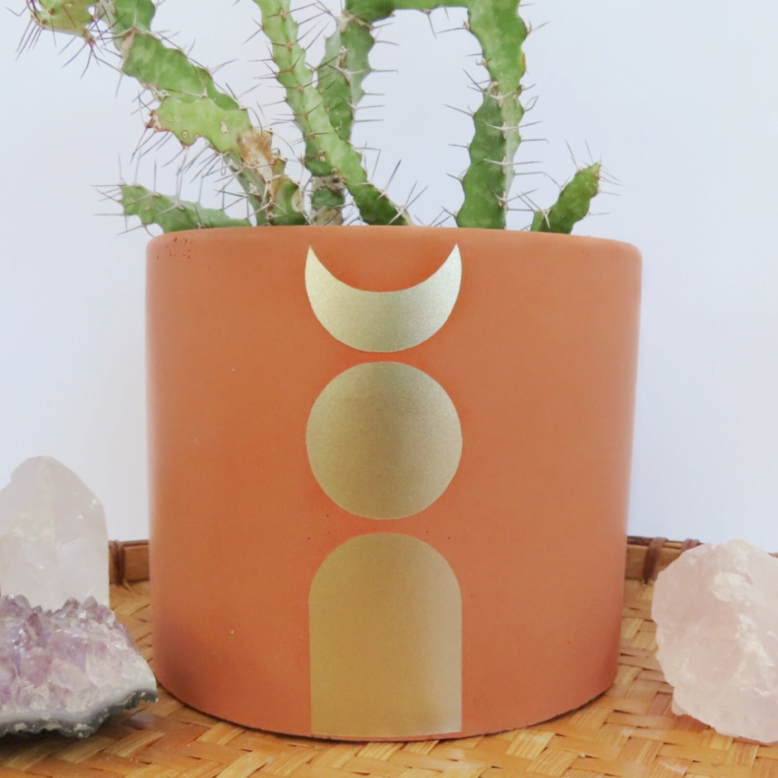 Terracotta Planter Moon Planter 4 Inch Planter Cement Plant Etsy