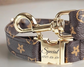 Designer Dog Collar and Leash - Complete Puppy Set - Personalized Engraved Buckle