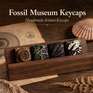 May include: Four square artisan keycaps displayed in a wooden stand. The keycaps feature detailed fossil designs including an ammonite, mossy terrain, a dark textured fern, and a white skull, with text reading Fossil Museum Keycaps above.