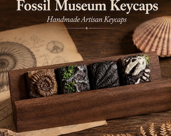 Tecla artesanal del Museo de Fósiles: Tecla de resina 1U pintada a mano para teclados mecánicos MX. Regalo ideal para profesores.