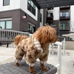 May include: A small dog wearing a brown and white patterned outfit with white trim, standing on a gray rope-style chair. The dog has long, light brown fur and is outdoors in front of a building.