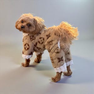 May include: A small, fluffy dog wearing a brown and tan patterned outfit. The outfit features a repeating logo design and white trim around the ankles. The dog has light brown fur and is posed against a neutral background.