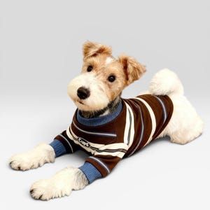 May include: A small dog wearing a brown and white striped sweater with blue accents and the word "Cups" on the sleeve. The dog is lying down on a light gray background.