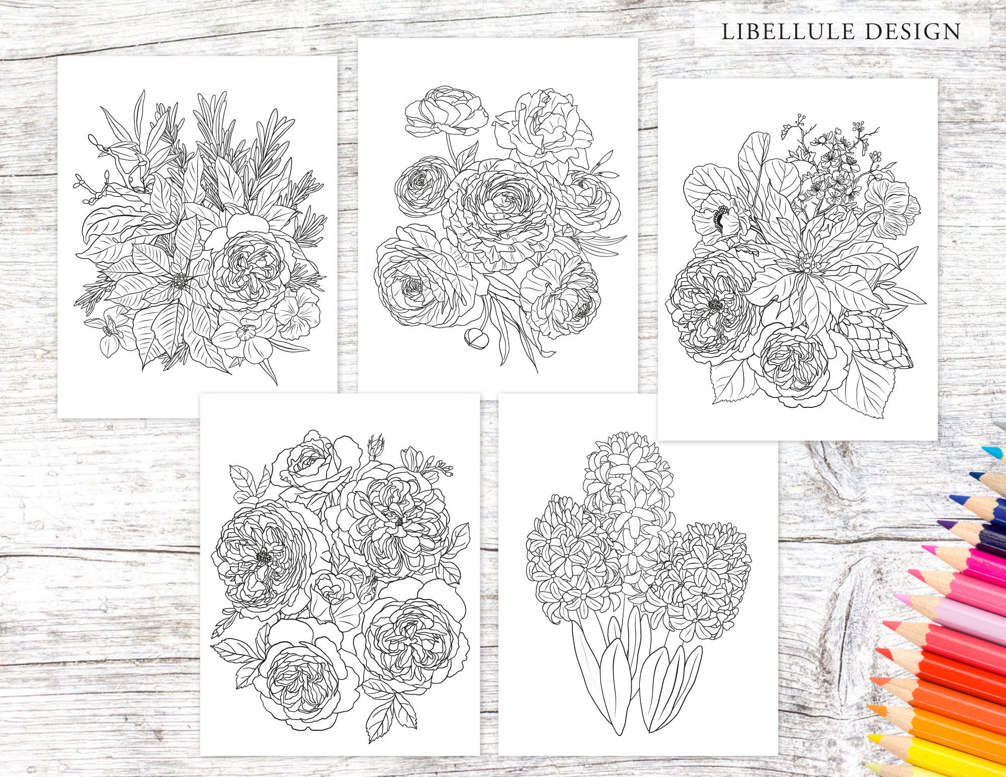 Printable Flower Coloring Pages   20 Adult Coloring Pages   Roses,  Poinsetia, Ranunculus, Hyacinth   Digital Instant Download