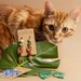 CleverCatFL