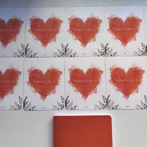 May include: Ten rectangular cards arranged in two rows, each featuring a watercolour-style red heart, the text "TODAY'S SIGN," and small black botanical illustrations at the bottom. Below the cards sits a solid red rectangular notebook.
