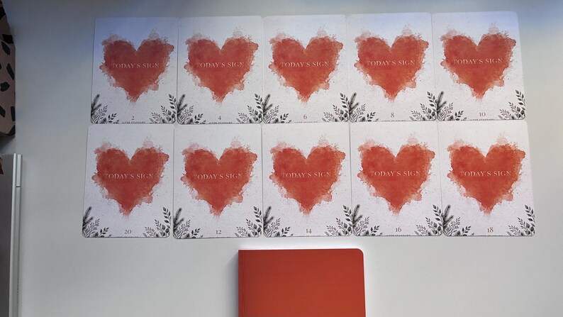 May include: Ten rectangular cards arranged in two rows, each featuring a watercolour-style red heart, the text "TODAY'S SIGN," and small black botanical illustrations at the bottom. Below the cards sits a solid red rectangular notebook.