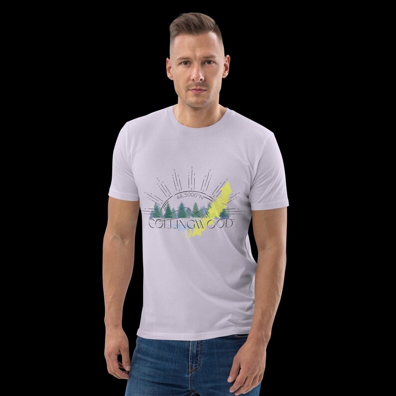 Pode incluir: Uma t-shirt de manga curta em roxo claro com uma impress&atilde;o gr&aacute;fica de uma silhueta de floresta, raios de sol, o texto COLLINGWOOD, as coordenadas 44.5000 N e um detalhe de pincelada amarela no centro do peito.